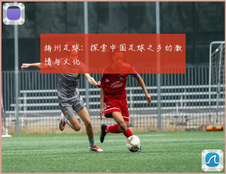 梅州足球：探索中国足球之乡的激情与文化