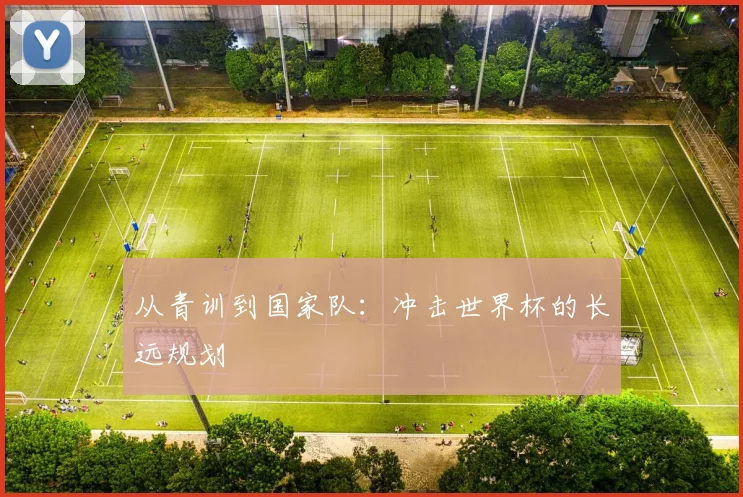 从青训到国家队：冲击世界杯的长远规划