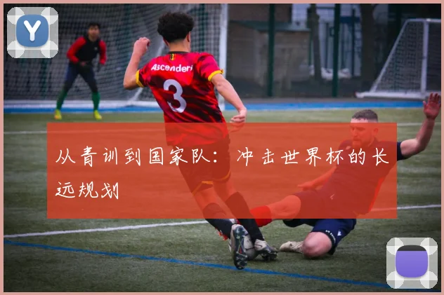 从青训到国家队：冲击世界杯的长远规划