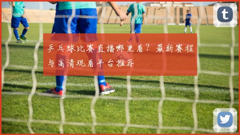 乒乓球比赛直播哪里看？最新赛程与高清观看平台推荐